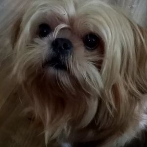 Meet your Posher, Crystal